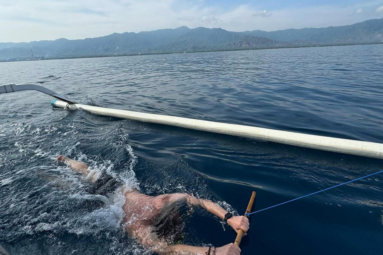 North Bali: Dolphin Swim, Snorkeling, & Waterfall Cliff Jump Small Group With Hotel Transfer Central Bali
