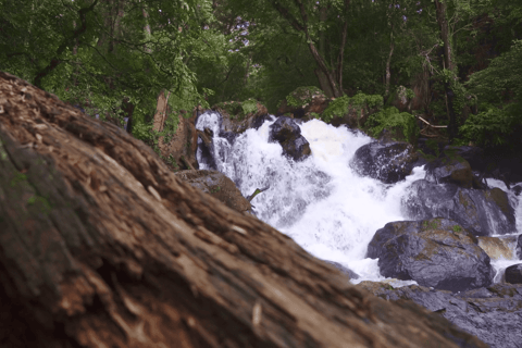 Desde Ciudad de México: tour privado a Valle de Bravo