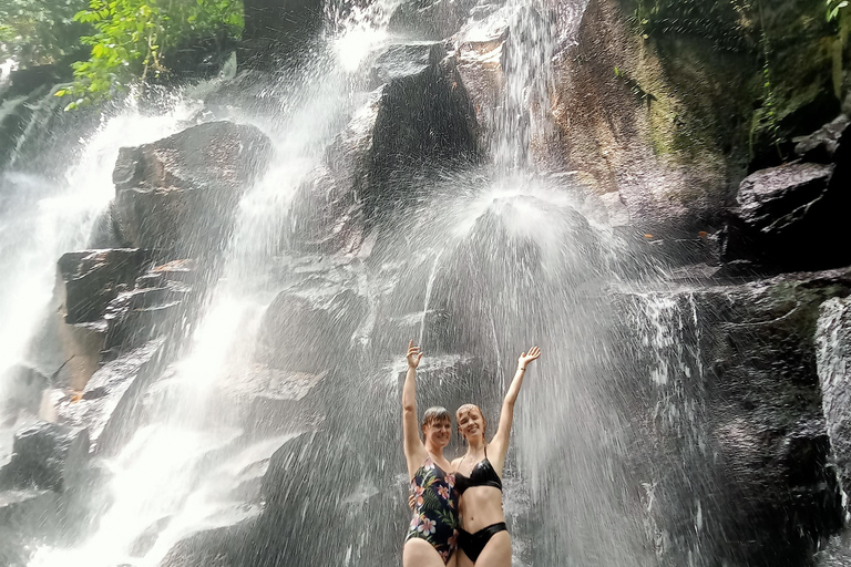 Ubud: Hidden Gems and Waterfalls Private TourFull-day Tour with Lunch