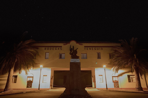 La Palma: Stargazing & Wine Tasting at Bodegas Teneguía