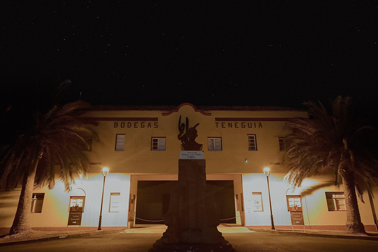 La Palma: Stargazing & Wine Tasting at Bodegas Teneguía