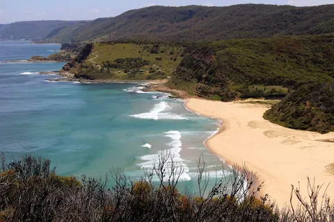 Sydney - Kungliga nationalparken Royal National Park privat tur dagtid