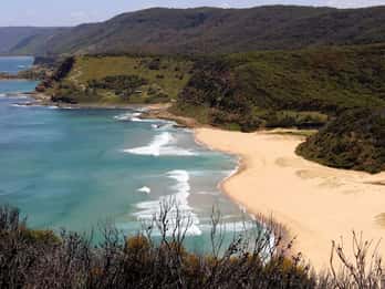 Sydney: Tour privato del Parco Nazionale Reale
