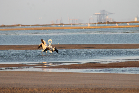 Windhoek: Sossusvlei and Swakopmund 3-Day & Sandwich Harbour