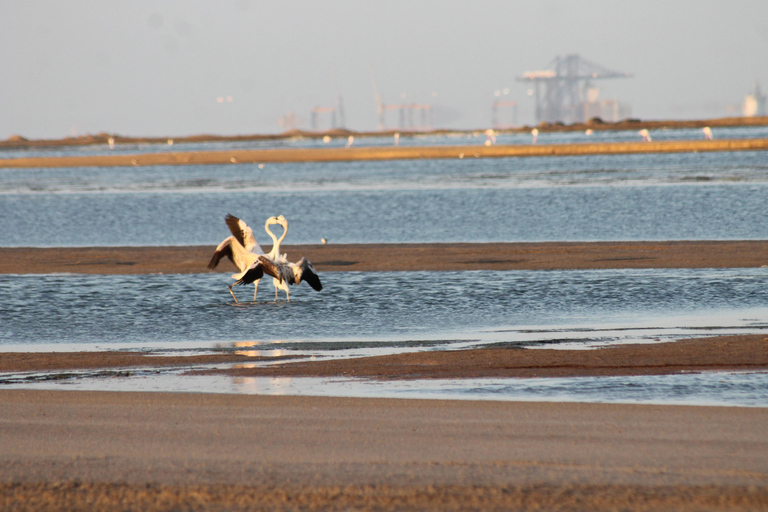 Windhoek: Sossusvlei and Swakopmund 3-Day & Sandwich Harbour