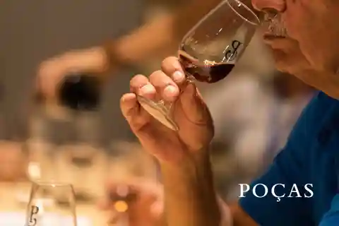Geführte Tour und Verkostung von 3 Portweinen in Poças