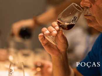 Vila Nova de Gaia: Winery Tour with 2 DOC Douro & 2 Ports