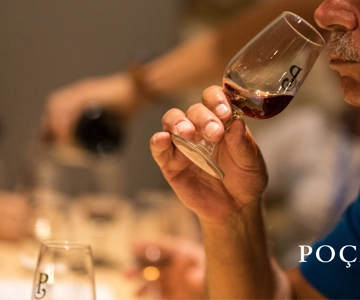 Winery Tour with 2 DOC Douro & 2 Ports
