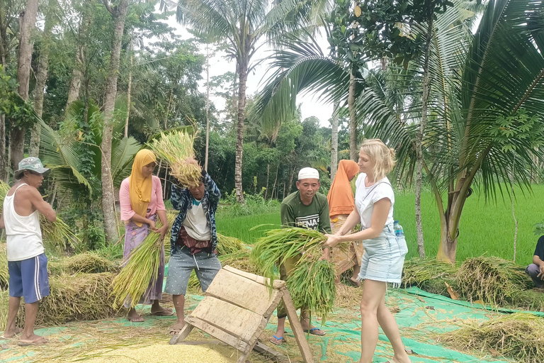 特特巴图：瀑布、香料、梯田、猴子森林特特巴图之旅、香料、瀑布、梯田、猴林