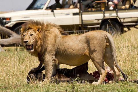 6-Day Masai Mara/Serengeti and Ngorongoro Crater