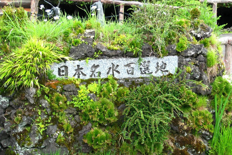 Tokio: Ganztagestour zu den vier majestätischen Orten des Mt. Fuji