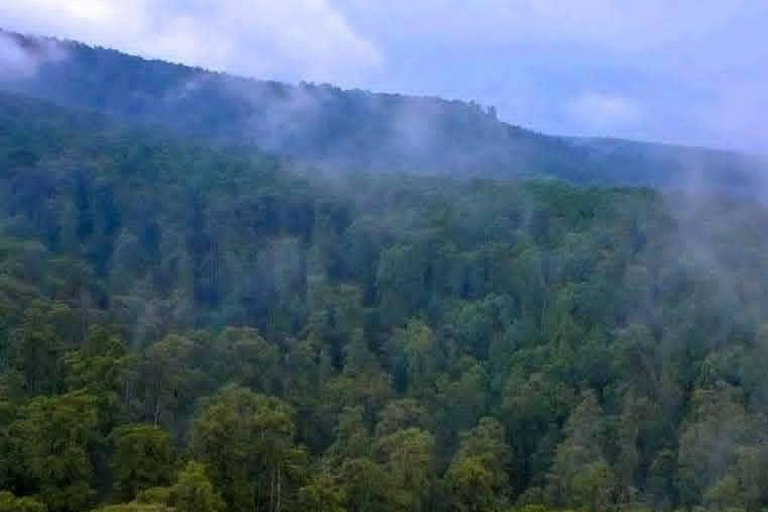 Tagestour im Suba-Park – Alte Wälder, Wildtiere &amp; NaturwanderungenTagestour im Suba Park – Alte Waldtiere &amp; Naturwanderungen