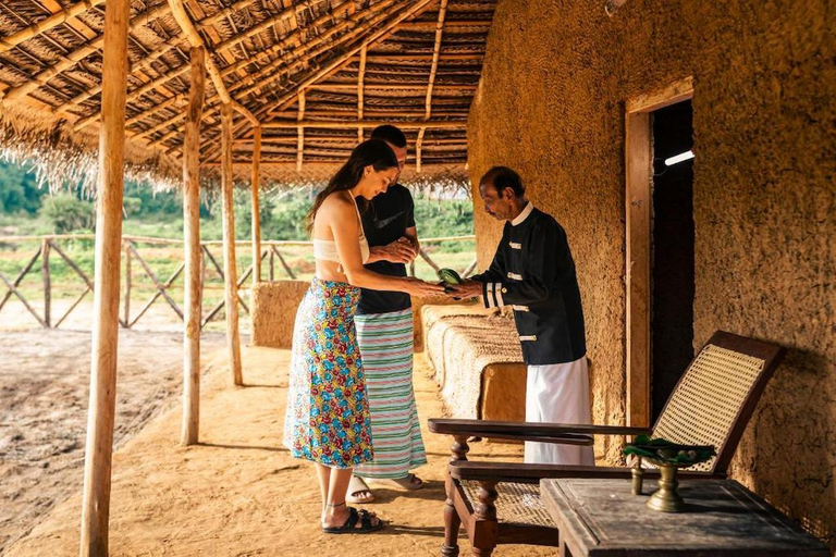 Sri Lanka: 8-Day Women's Serene Cultural & Coastal Escape