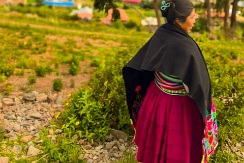 From Cusco: 3-Day Lake Titicaca Tour with Homestay & Meals