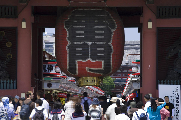 Tokio Ganztagestour Skytree Meiji-Schrein mit englischem Fahrer