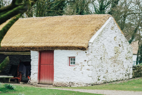 Belfast : excursion privée d'une journée aux falaises de Slieve League et à Donegal