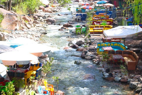 Desde Marrakech: montañas del Atlas, valle de Ourika y paseo en camello