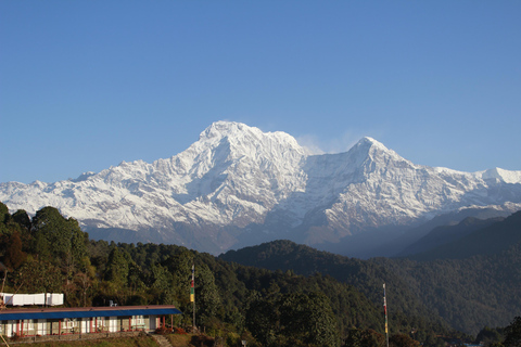 From Pokhara Group Departure: One Day Trek Australian Camp