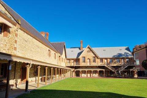 Adelaide: North Terrace Guided Walking Tour