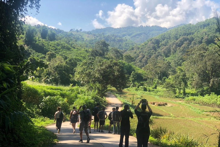 Chiang Rai: Jungle Adventure-Group Trekking & Bamboo Cooking