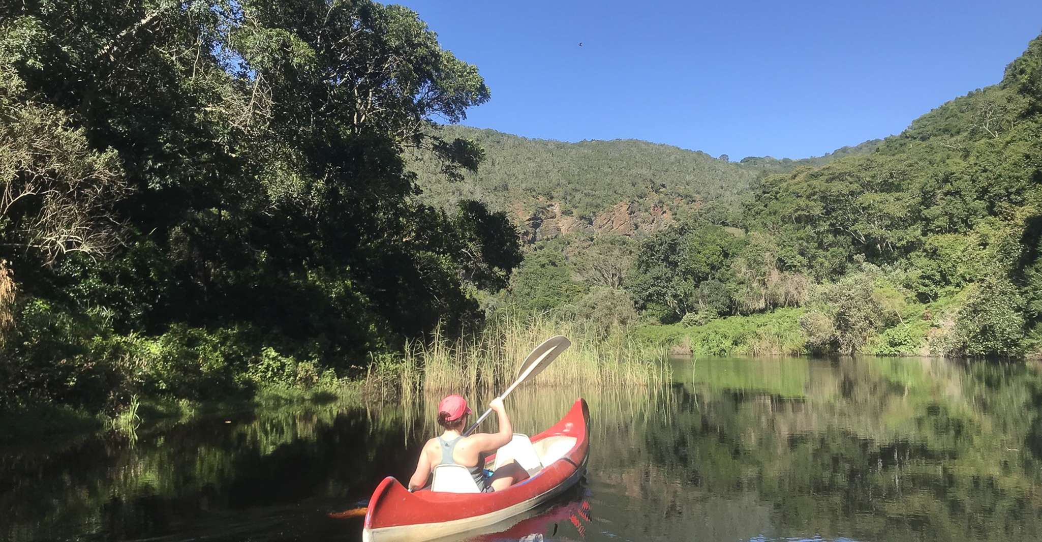 Kapstadt, Garden Route und Addo Elephant Park 6-Tage-Safari - Hizvo