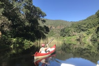 Cape Town, Garden Route et Addo Elephant Park Safari de 6 jours - Hizvo