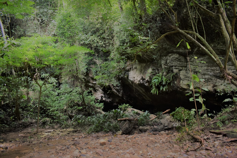 MEDELLIN: RAFTING RIO CLARO + CONDOR CAVE