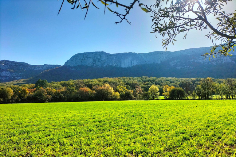 Secret Provence on Mary Magdalene’s Path