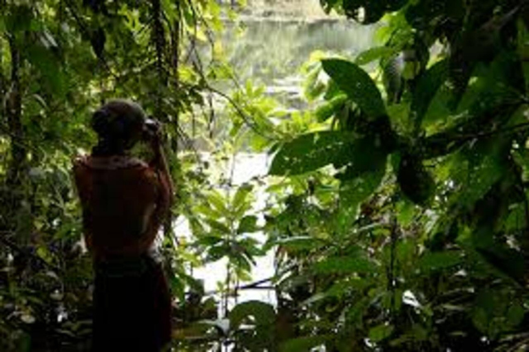 زنجبار: جولة في المدينة الحجرية وغابة جوزاني ومركز الفراشاتهذا الخيار، الاستقبال من فنادق المدينة