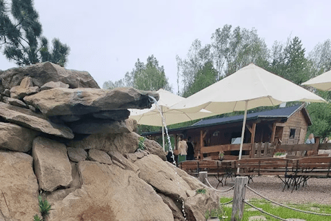 Alpaca Park: choose your alpaca for a walk + feeding