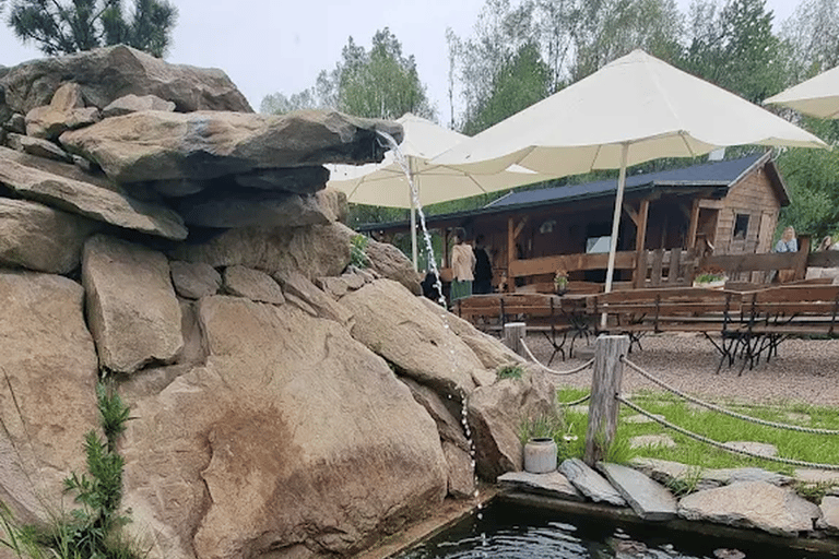 Alpaca Park: choose your alpaca for a walk + feeding