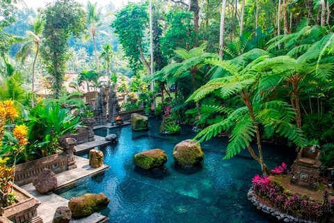 Ubud: Traditional Purification Ceremony, Lunch, and Spa Day