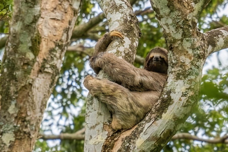 Rio de Janeiro ou São Paulo : circuit de 3 jours dans le parc national d'Itatiaia