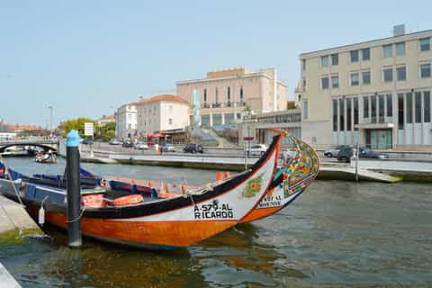 Aveiro : tour en moliceiro et tuk-tuk avec guide