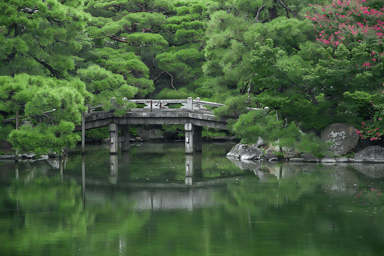 Kyoto Driving Tour with Local Expert Guide