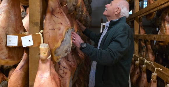 From Bologna: Parmigiano, Modena Prosciutto & Balsamic Tour