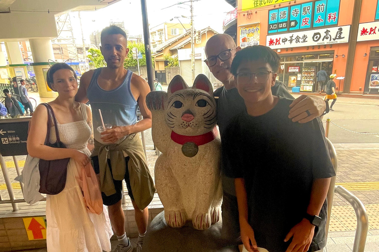 Tokyo: Gotokuji Cat Temple, Shinjuku Cat Cafe & 3D Cat Tour