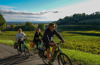Bordeaux: St. Emilion E-Bike-Weintour|Mittagessen & 13+ Verkostungen