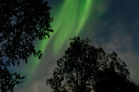 Levi: Evening Horseback Ride with Northern Lights