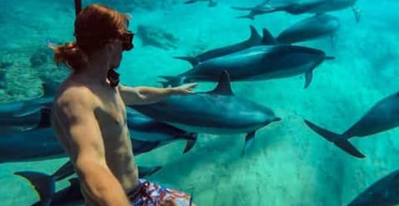 Zanzibar: Private Mnemba Dolphin Safari & Snorkeling