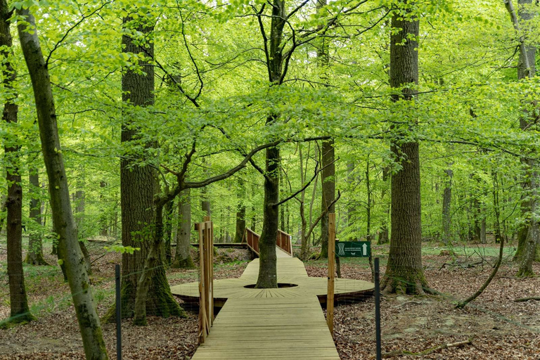 Waldturm und vergessene Giganten - Eine Tagestour von Kopenhag aus