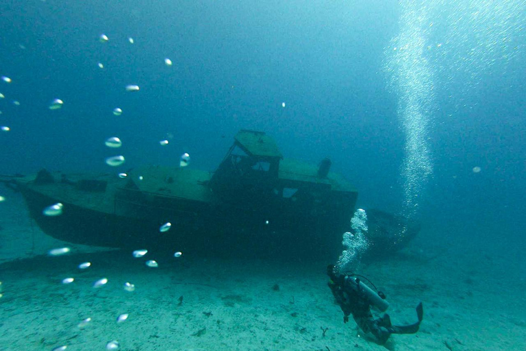 Discover Scuba Diving in Aruba