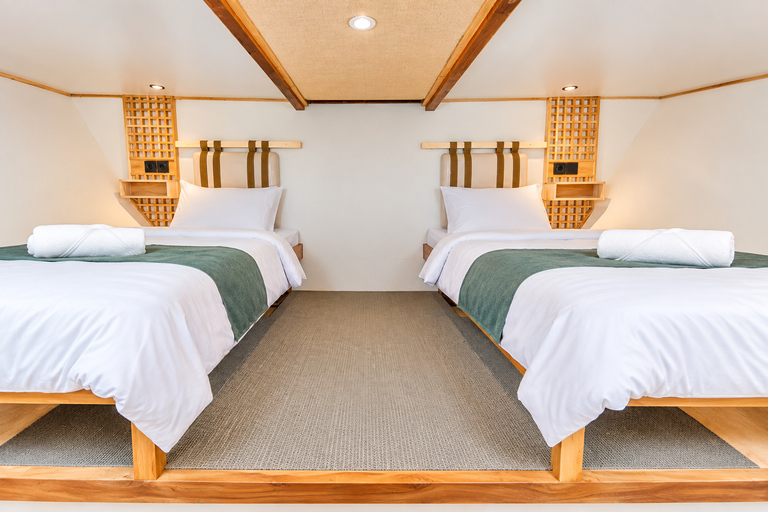 3D Komodo Sailing & Land Tour 12 Stops Single Bed & Hotel 3-Day Shared Cabin, Single Bed No Land Tour No Park Fee