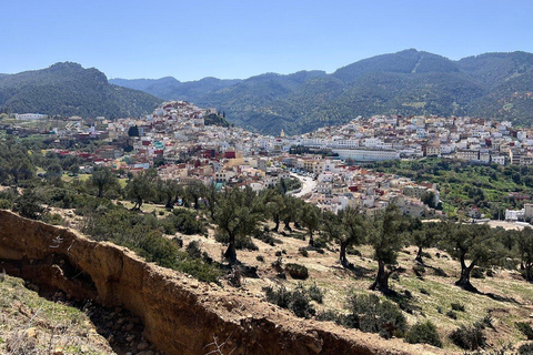 From Fes: Volubilis,Moulay Idriss&Meknes Day Trip with Guide Medium Group:Meknes,Volubilis, Moulay Idriss Guide in Meknes