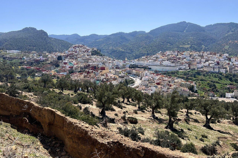 From Fes: Volubilis,Moulay Idriss&Meknes Day Trip with Guide Medium Group:Meknes,Volubilis, Moulay Idriss Guide in Meknes