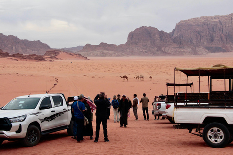 Wadi Rum : 2nuits/3Jours de trekking dans le désert, Camping &amp; repas