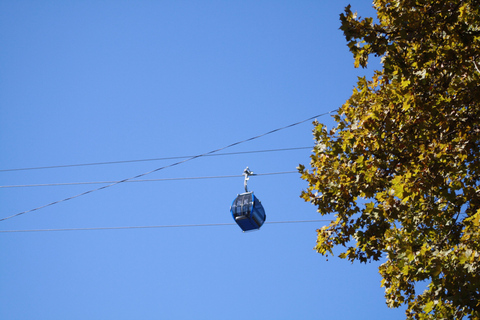 Tbilisi: Tour door protesten en revolutiesPrivé-ervaring