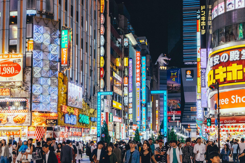Tokyo Private & Customizable Tour with English Driver Guide