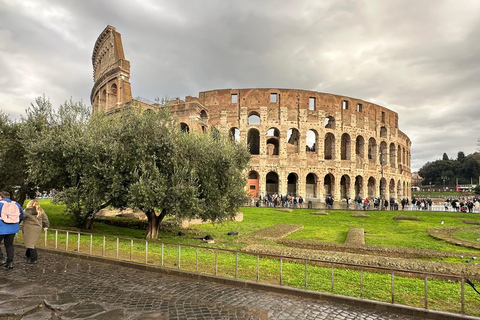 Small Group Guided Tour Colosseum Roman Forum, Palatine Hill Standard Tickets