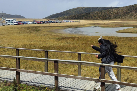 Vulkanen Cotopaxi: Besök från Quito, alpacka, lagun och vulkaner